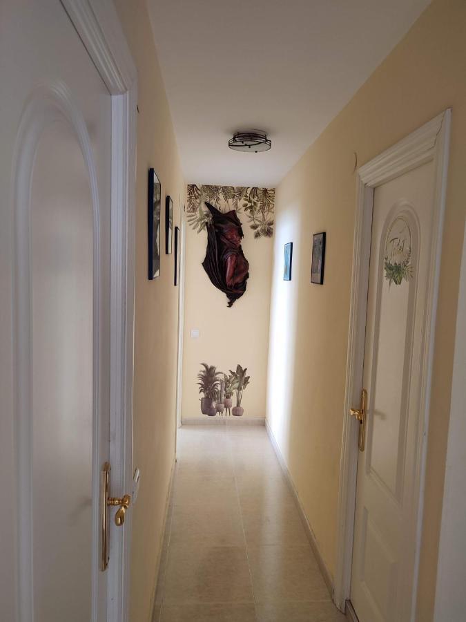 Apartamento En Playa Semi-Privada Benalmádena Eksteriør billede